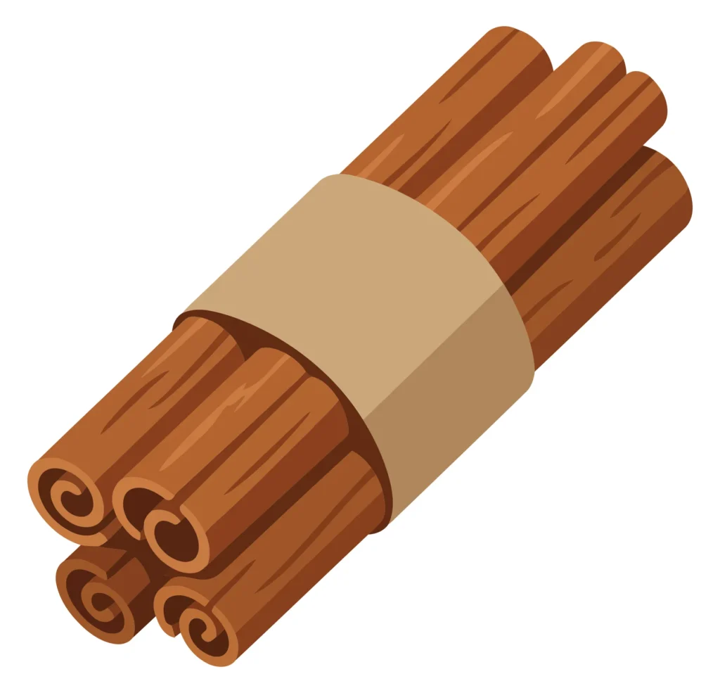 bundle of cinnamon sticks tied with paper band isolated on white background