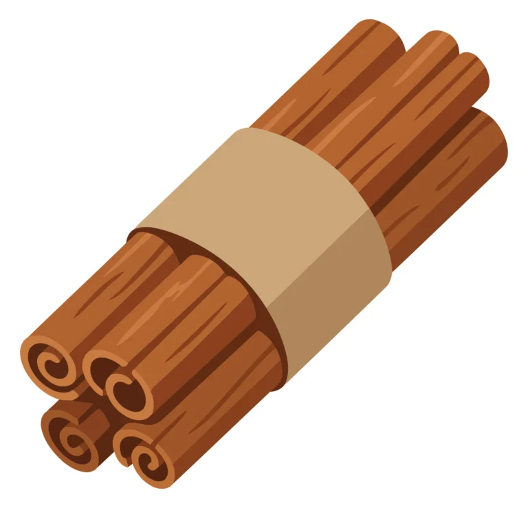 bundle of cinnamon sticks tied with paper band isolated on white background