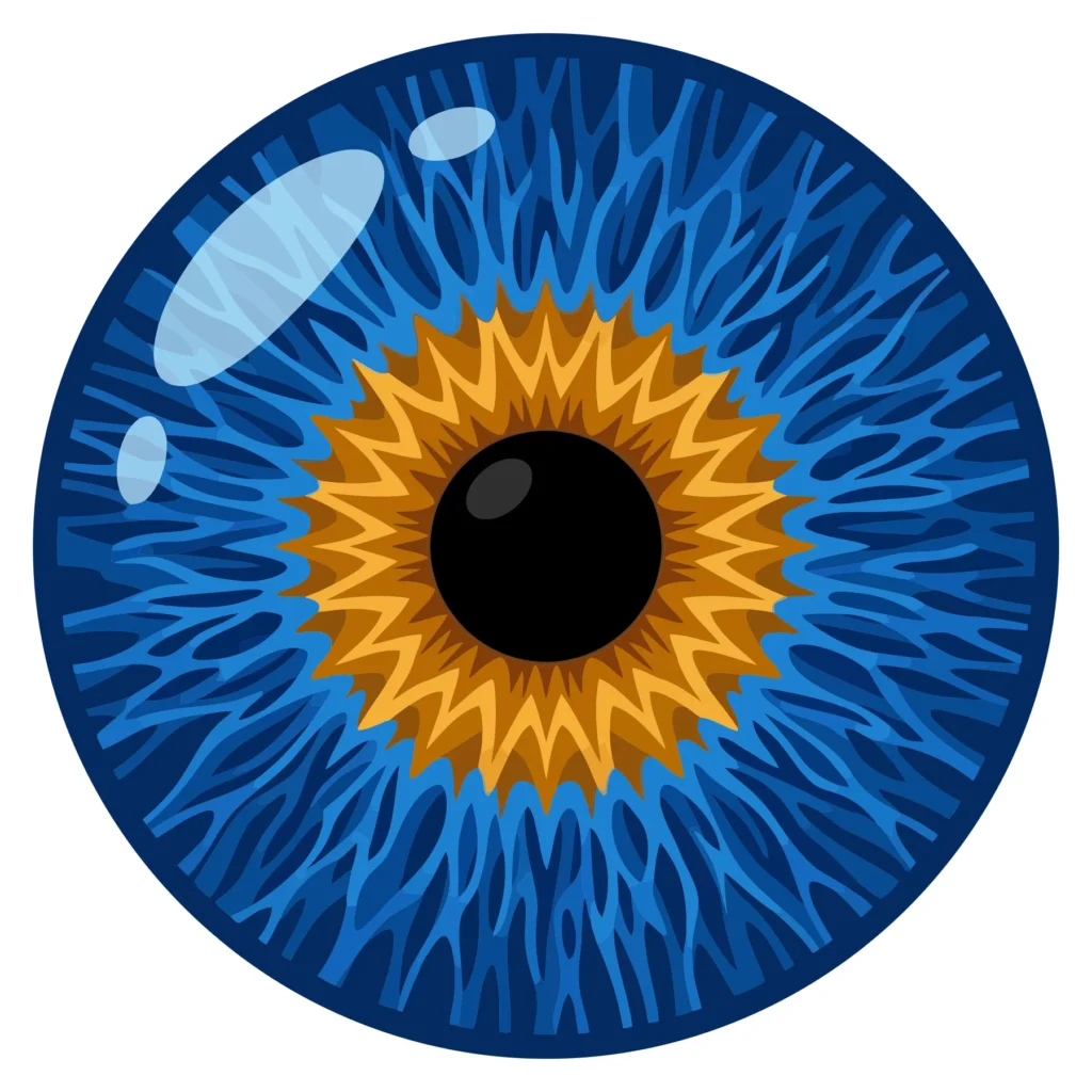closeup of a human blue eye iris with detailed texture