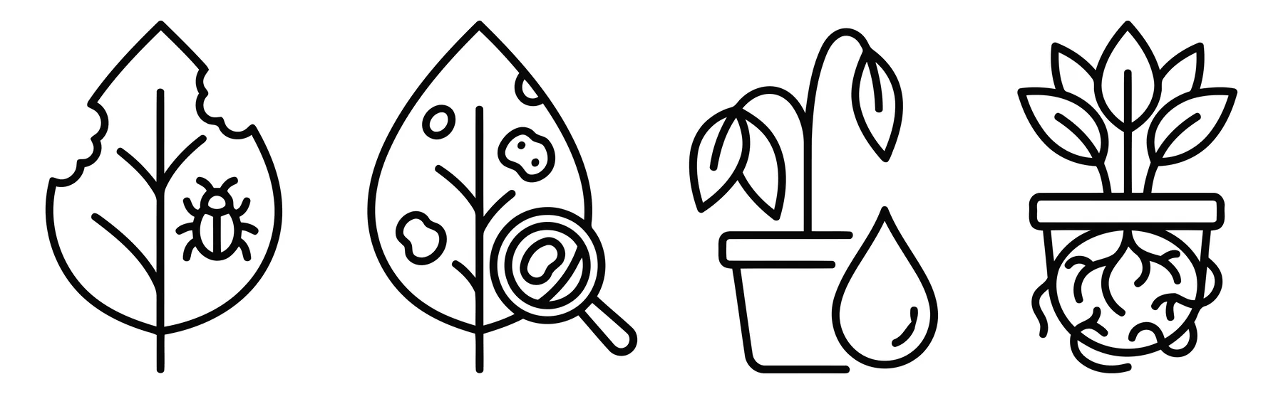 Plant Health and Disease Line Icons Set