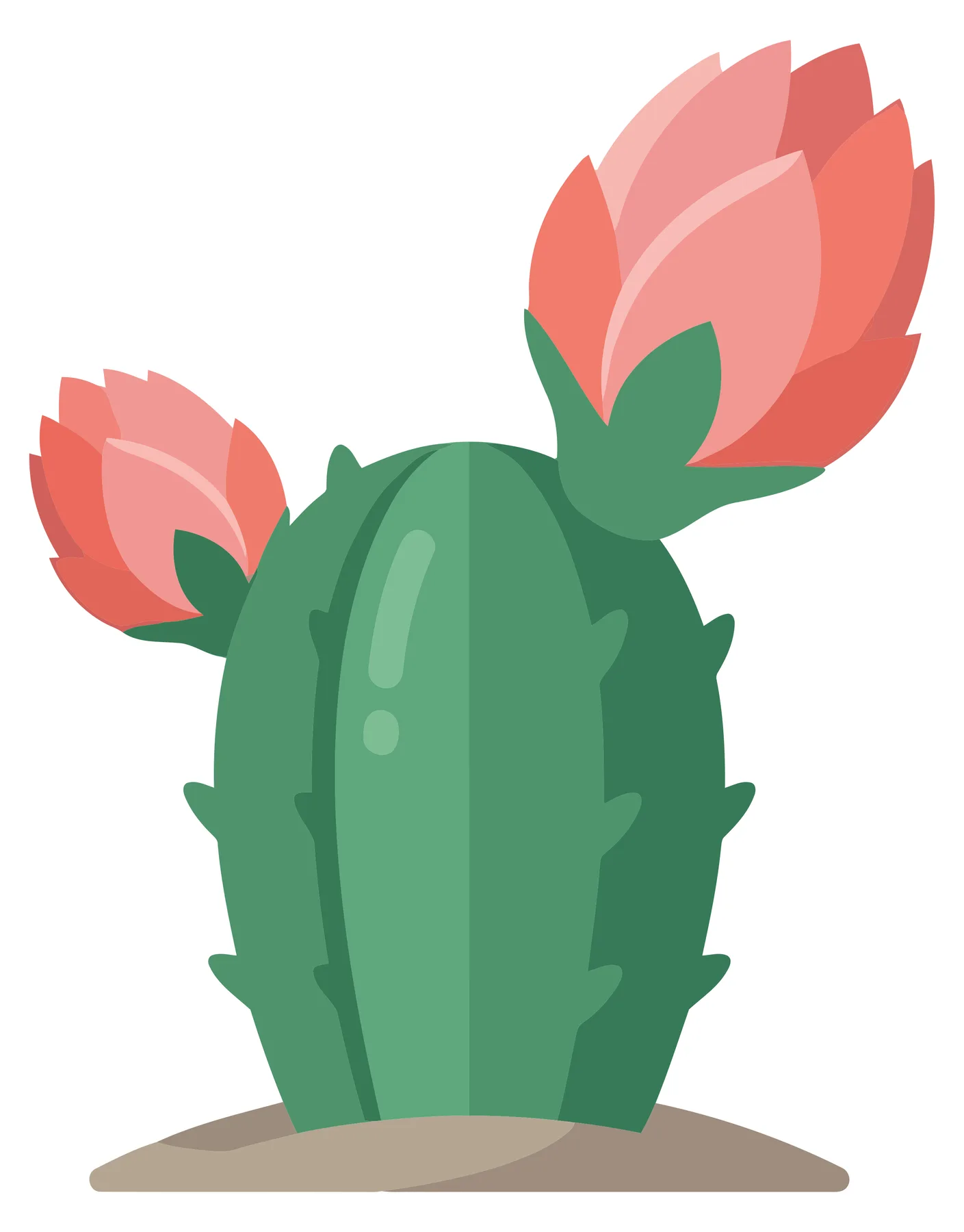 cute cartoon cactus with pink flowers isolated on white background