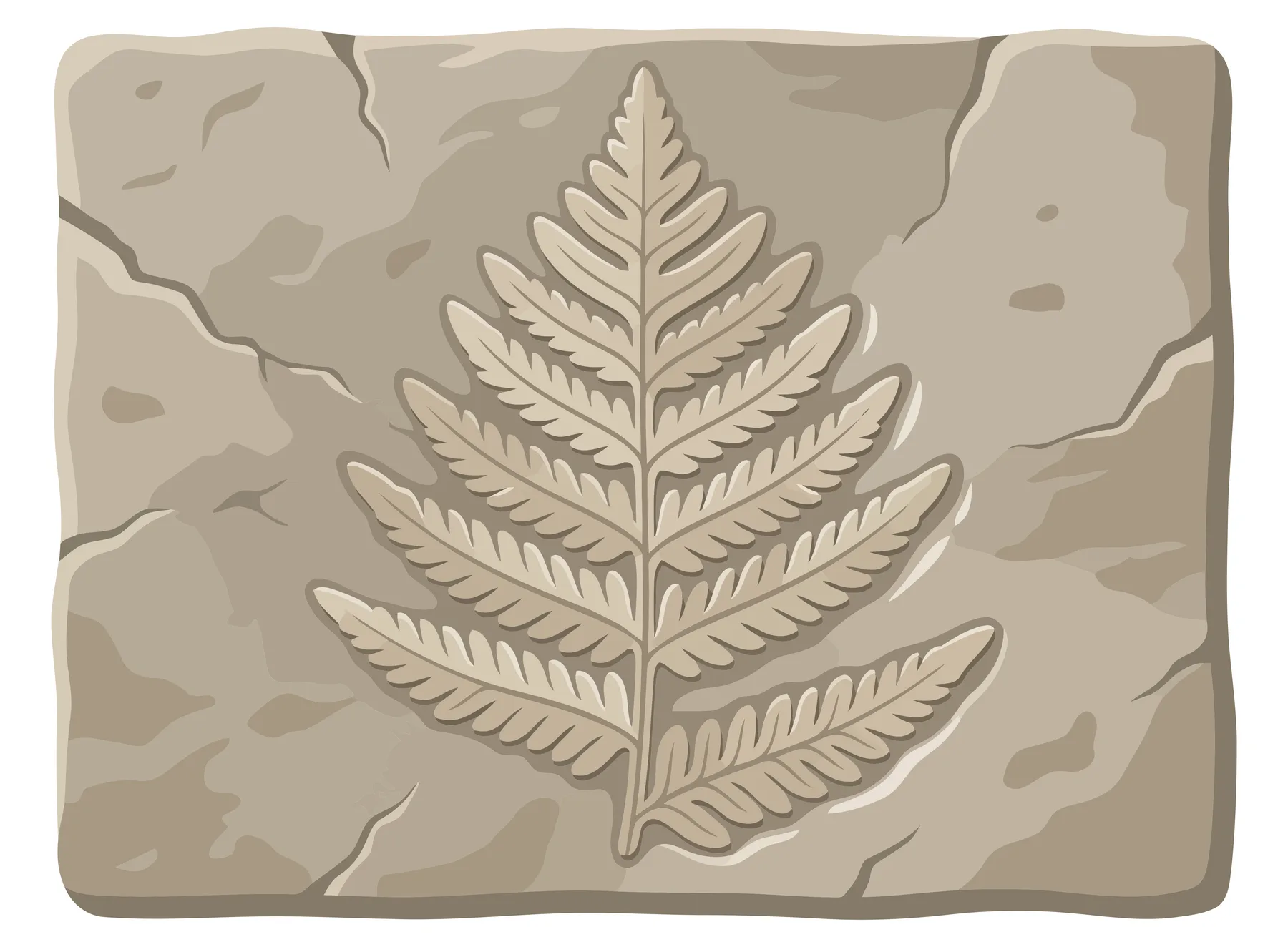 Fossilized Fern Leaf Imprint on Stone Texture