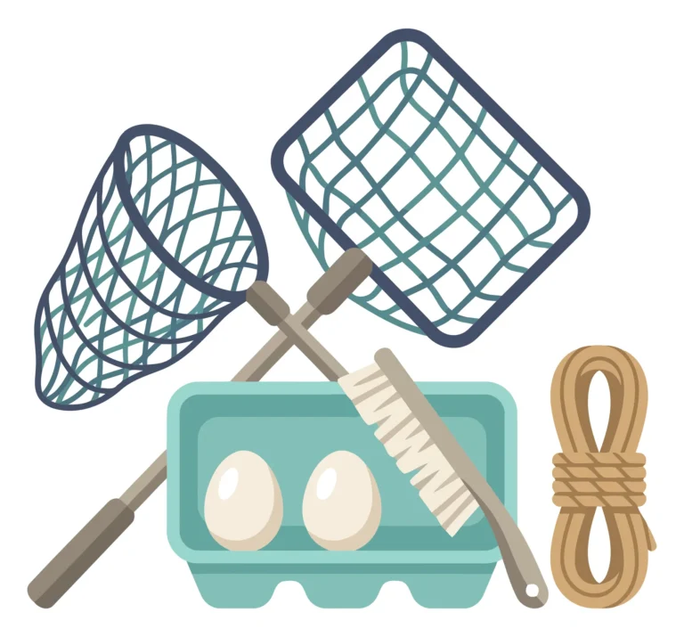 Fishing Nets, Rope, and Egg Carton with Eggs Illustration