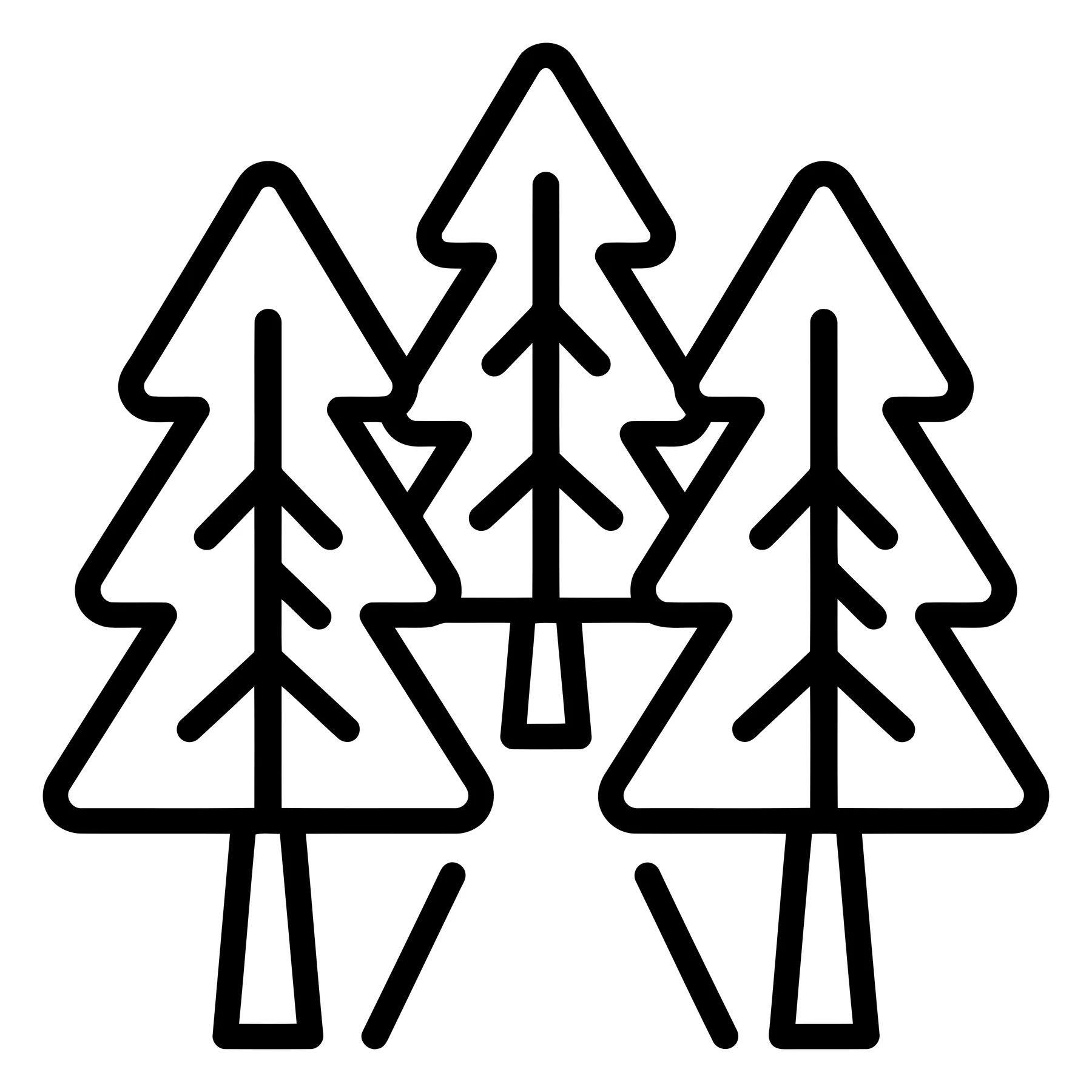 Minimalist Pine Tree Forest Icon with Path