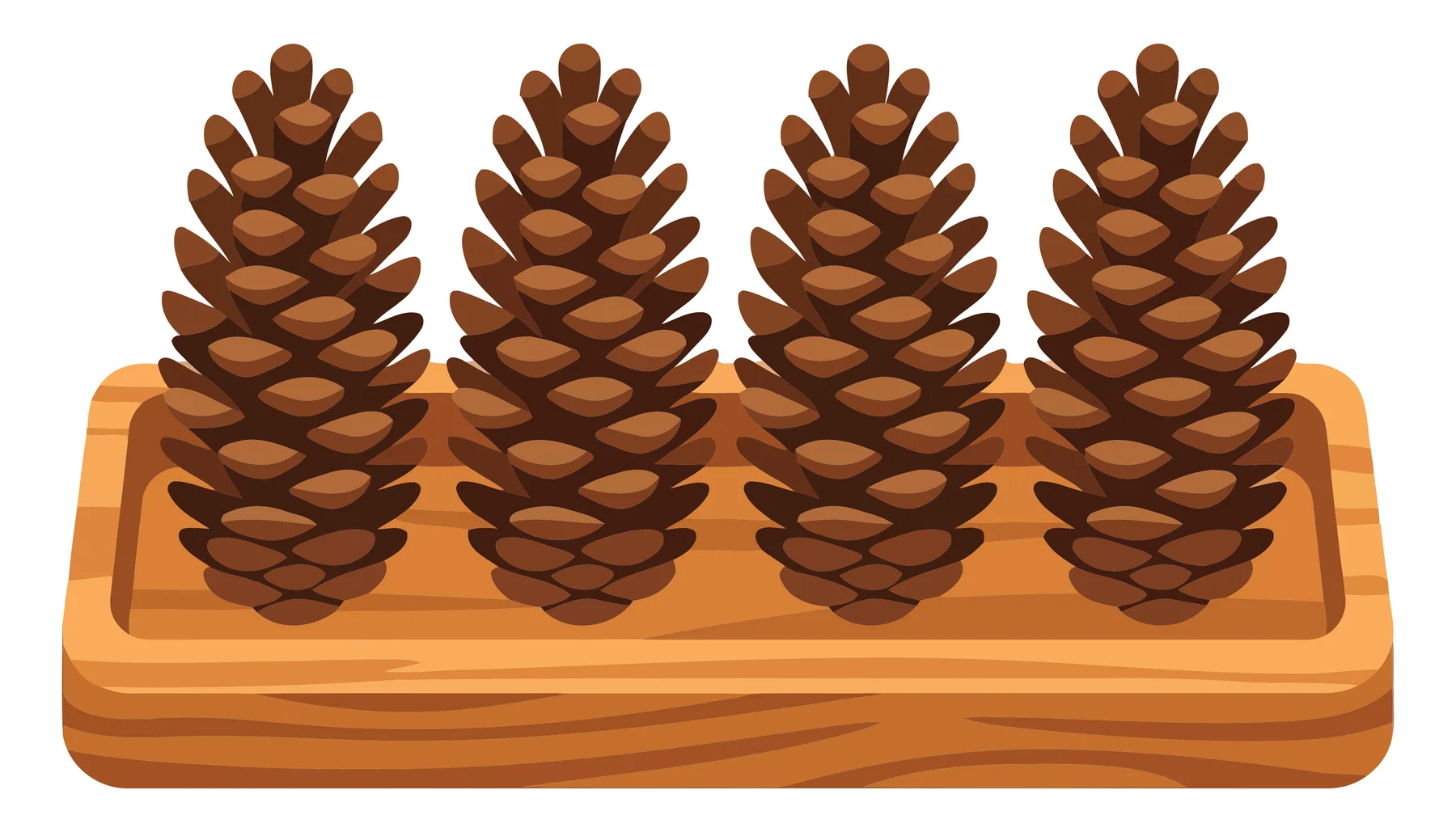 four pine cones arranged in a row on a rectangular wooden tray isolated on white background