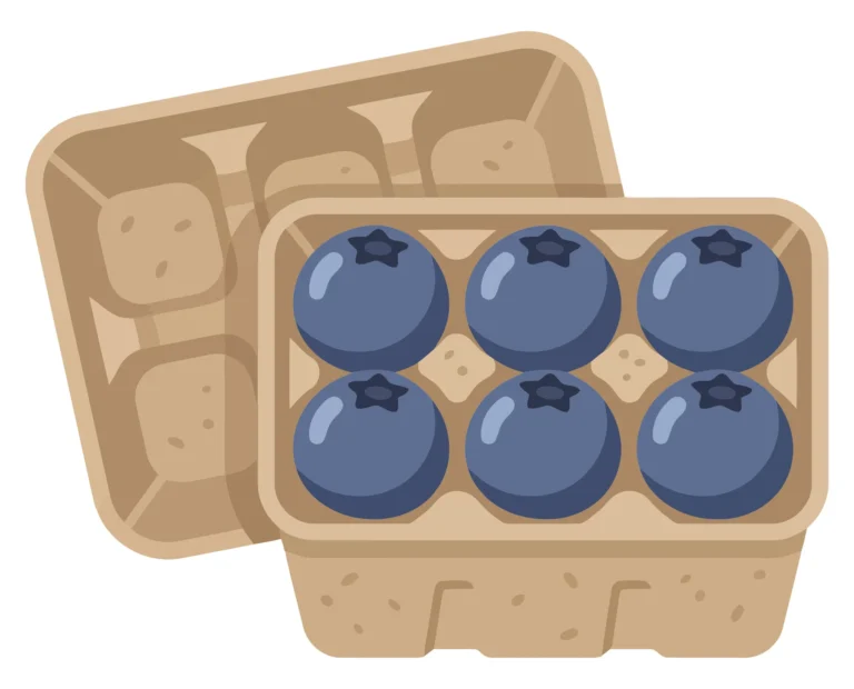 fresh blueberries in a cardboard container, vector illustration of a small berry carton with six blueberries, healthy organic fruit packagin
