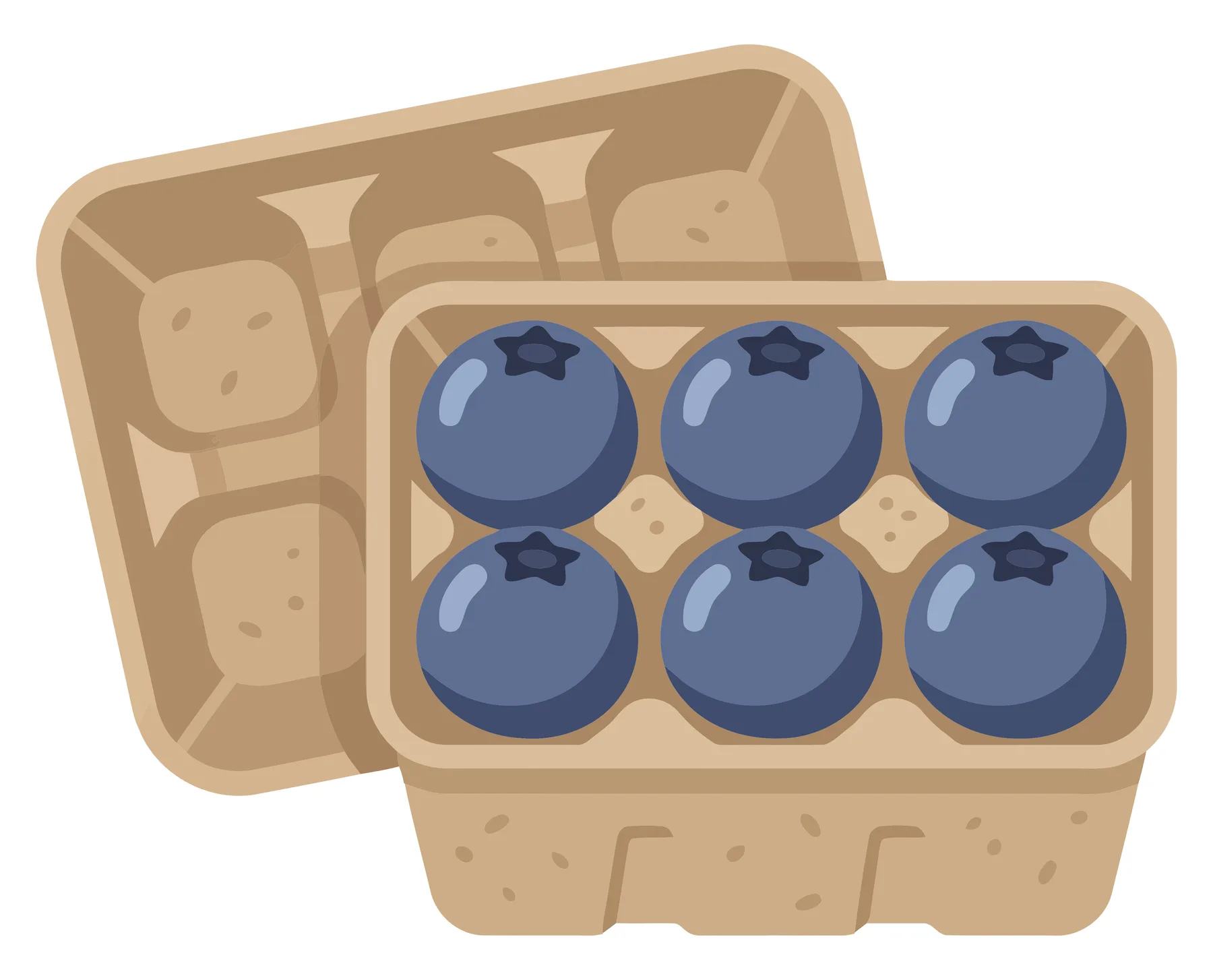fresh blueberries in a cardboard container, vector illustration of a small berry carton with six blueberries, healthy organic fruit packagin