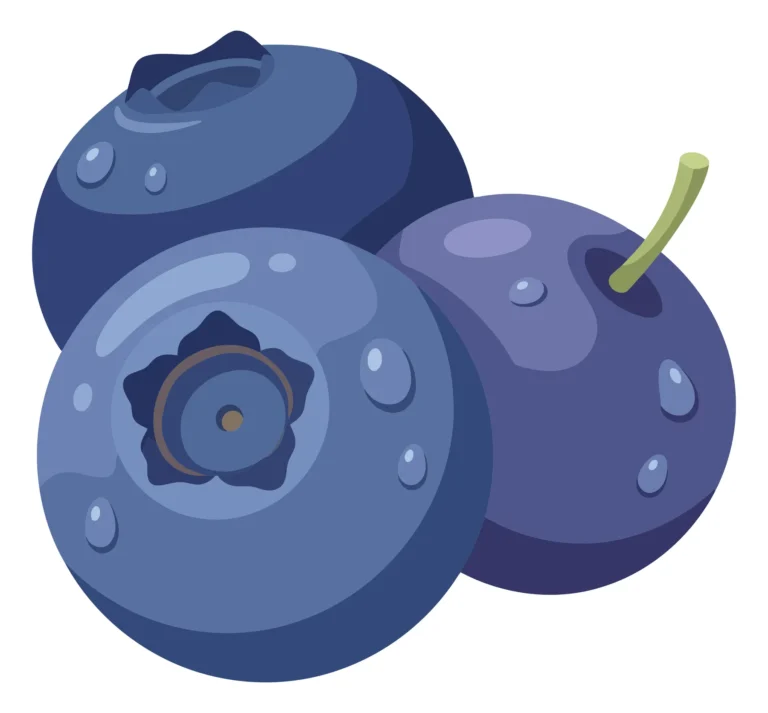 fresh blueberries