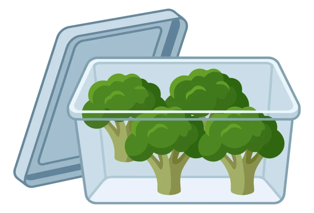 Fresh Broccoli Florets Stored Inside A Clear Plastic Food Container With The Lid Open Isolated On White Background fresh broccoli florets stored inside a clear plastic food container with the lid open isolated on white background