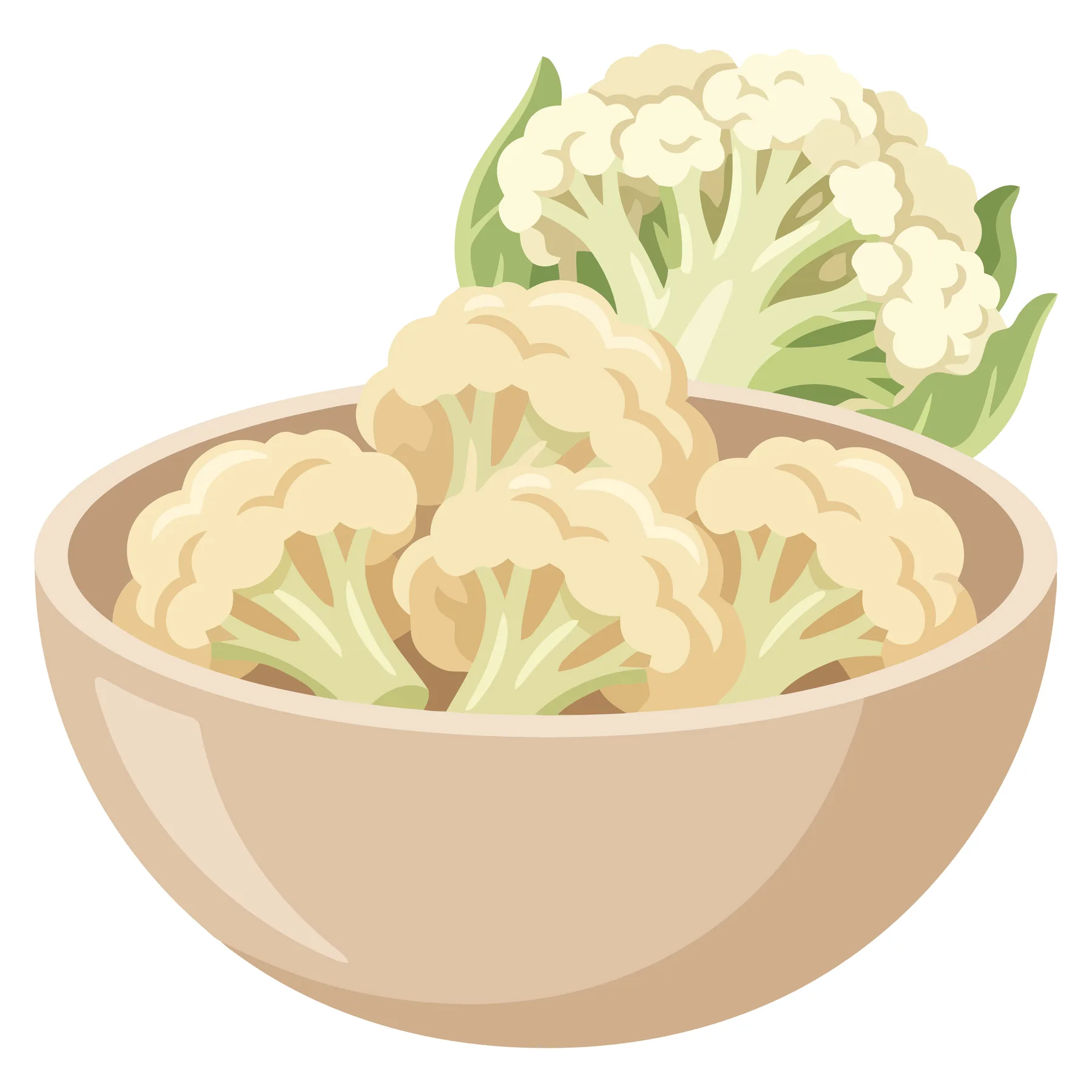 fresh cauliflower florets in a ceramic bowl, healthy vegetable ingredient for cooking, vector illustration