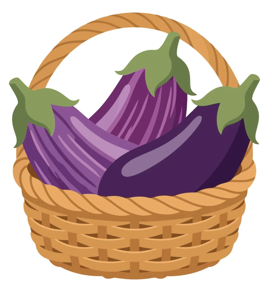 Fresh Eggplants In Wicker Basket, Vector Illustration, Isolated On White Background fresh eggplants in wicker basket, vector illustration, isolated on white background