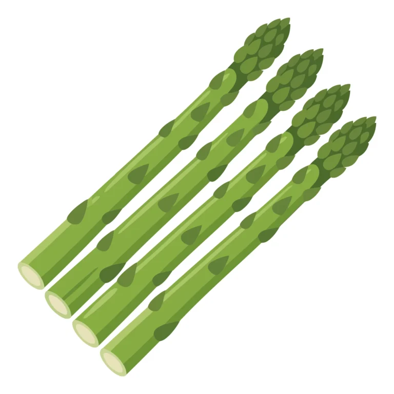 fresh green asparagus spears bunched together, isolated on white background