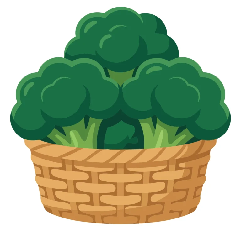 fresh green broccoli florets arranged in a woven wooden basket, healthy organic vegetable harvest, vibrant culinary ingredient for nutritiou