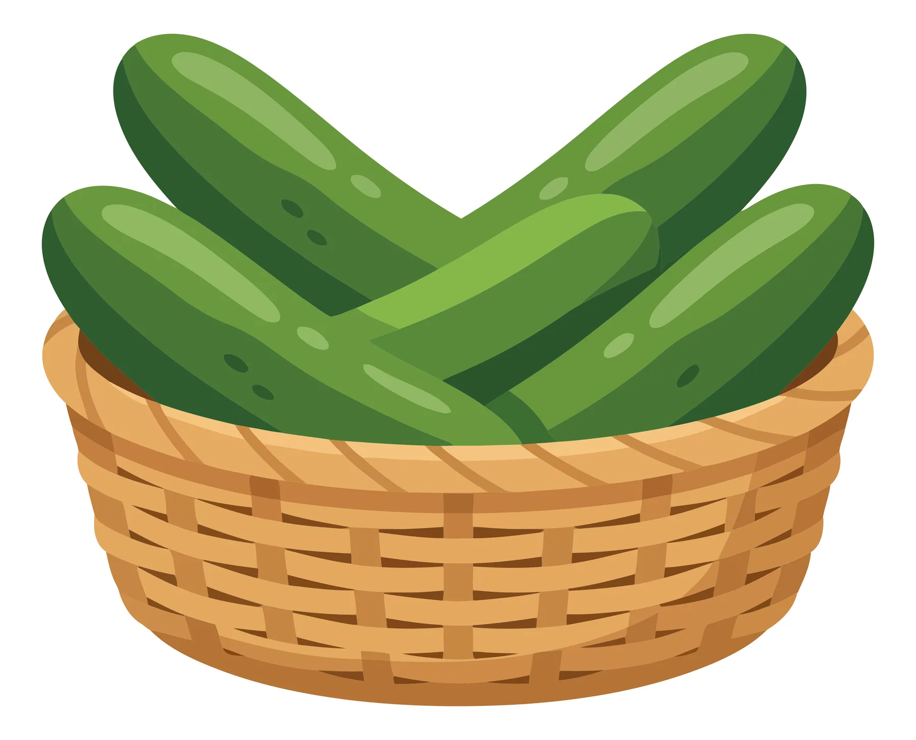 fresh green cucumbers in a wicker basket isolated on white background