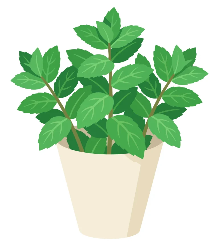 fresh green mint plant growing in a simple beige ceramic pot, botanical illustration of a potted herb for culinary or gardening design