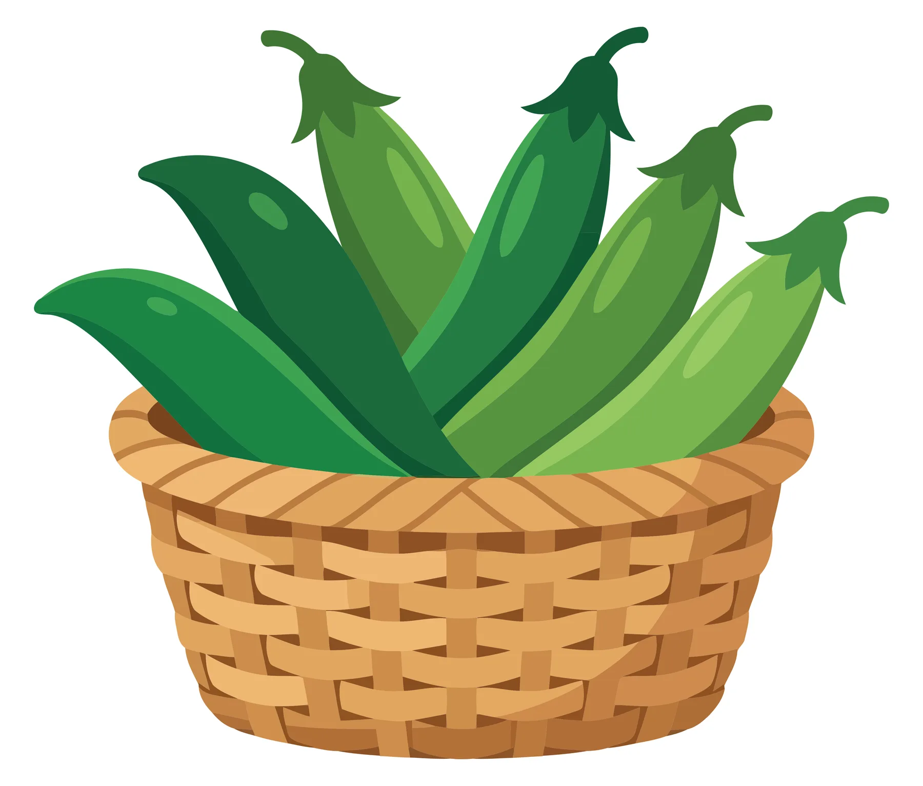 fresh green pea pods in a woven wooden basket, organic vegetable harvest, healthy garden produce, vector illustration isolated on white back