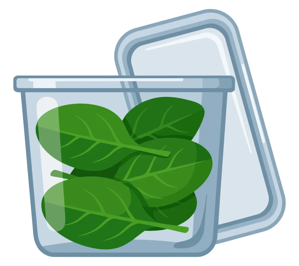 fresh green spinach leaves stored inside a clear plastic food container with the lid open isolated on white background
