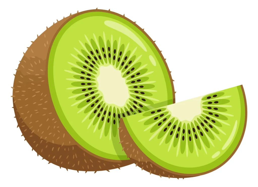 fresh kiwi fruit cut in half and a slice