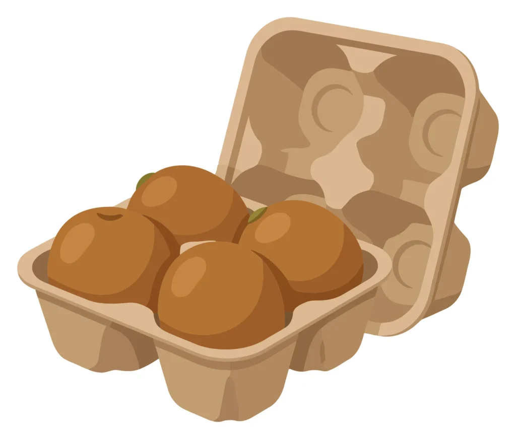 fresh kiwi fruits in a carton box packaging vector illustration isolated on white background
