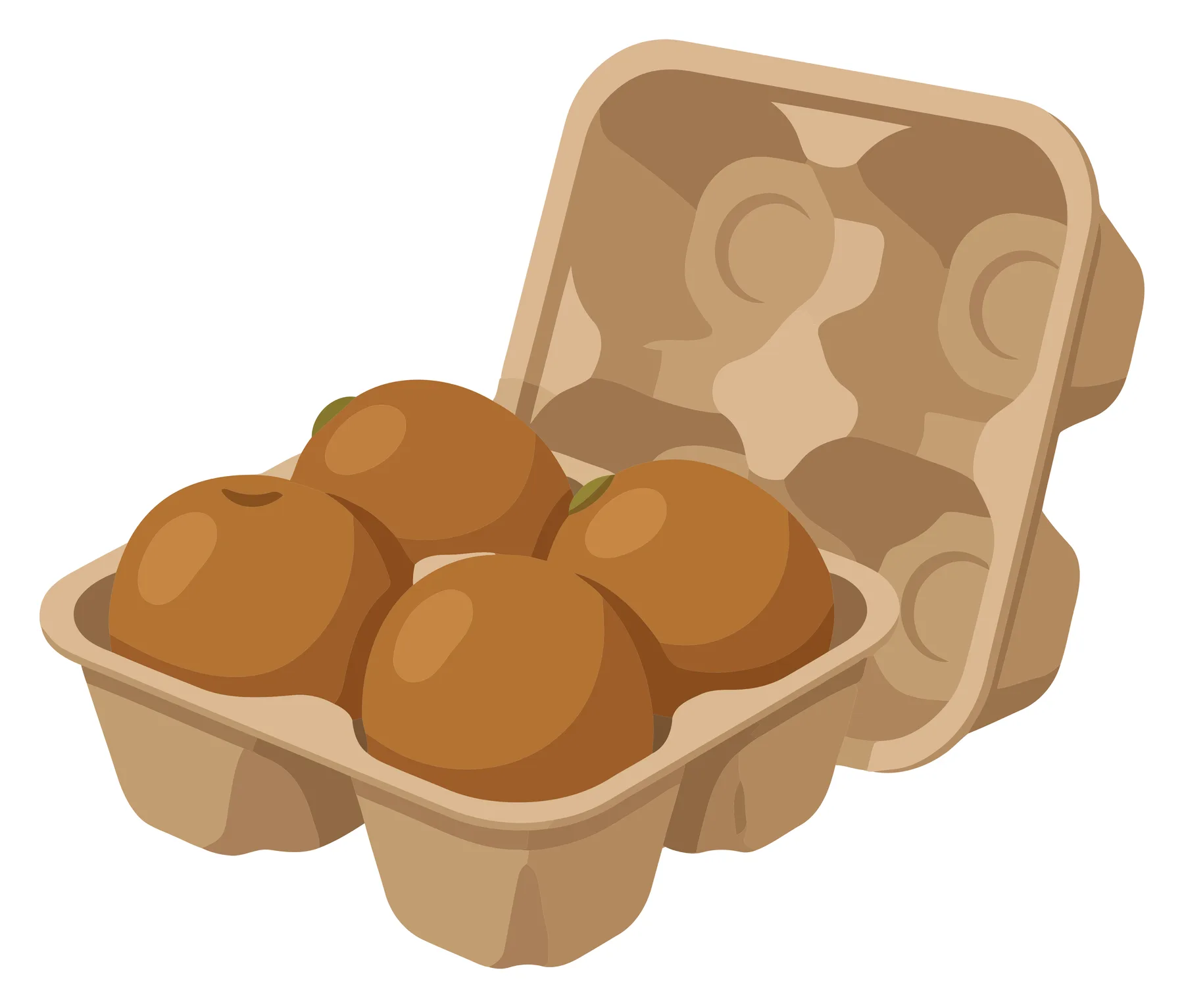 fresh kiwi fruits in a carton box packaging vector illustration isolated on white background
