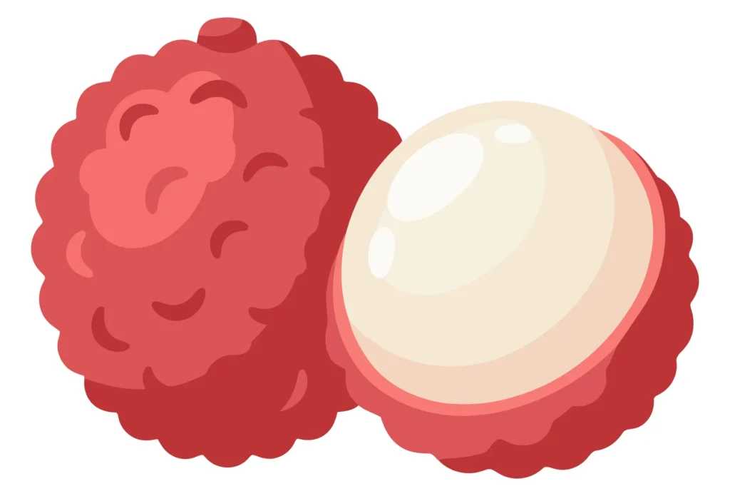 fresh lychee fruit with one peeled showing the translucent white flesh isolated on white background