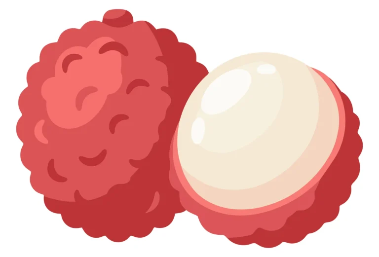 fresh lychee fruit with one peeled showing the translucent white flesh isolated on white background