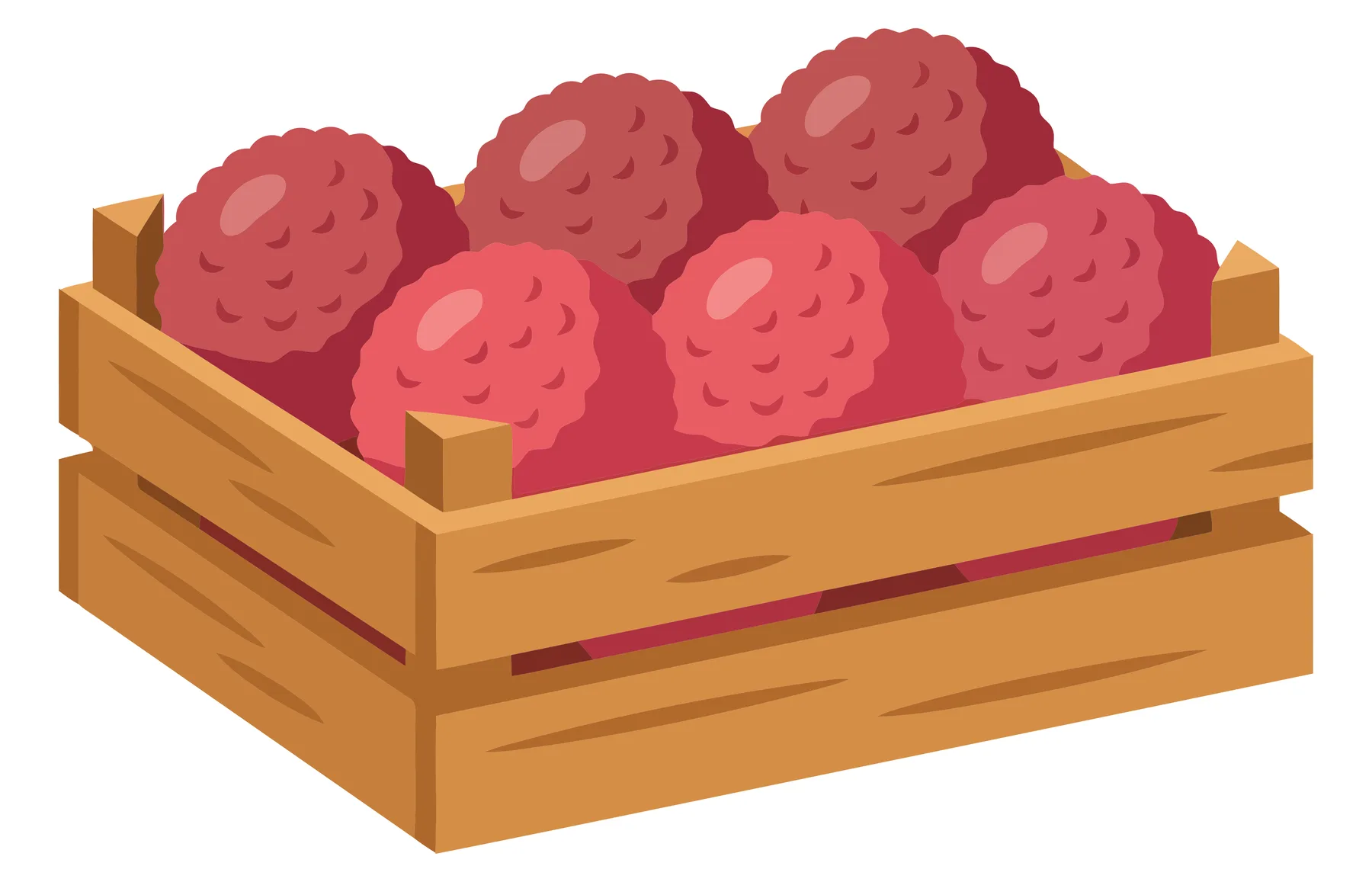 fresh lychee fruits in a wooden crate, vector illustration of tropical berries in a box, isolated on white background