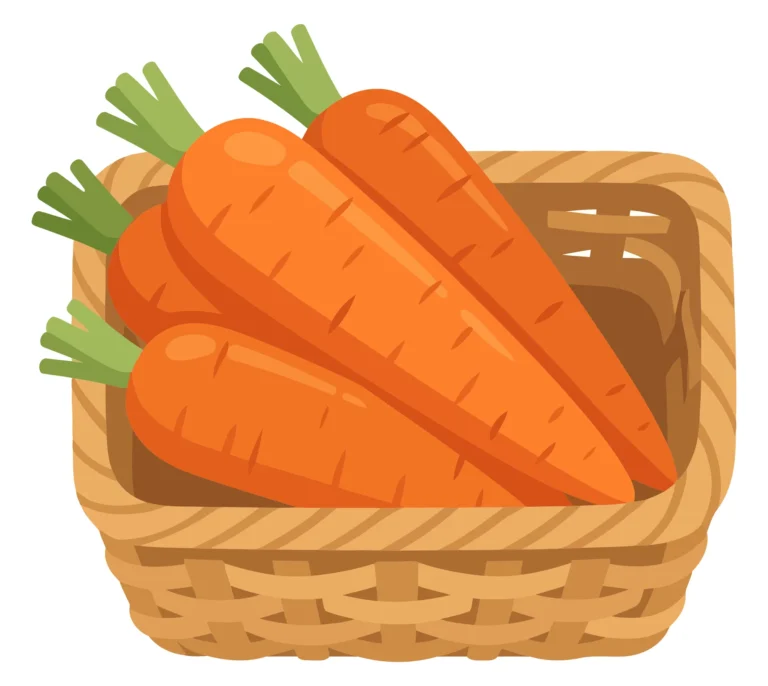 fresh orange carrots with green tops arranged inside a woven wicker basket isolated on white background