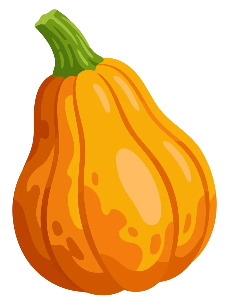 fresh orange pumpkin