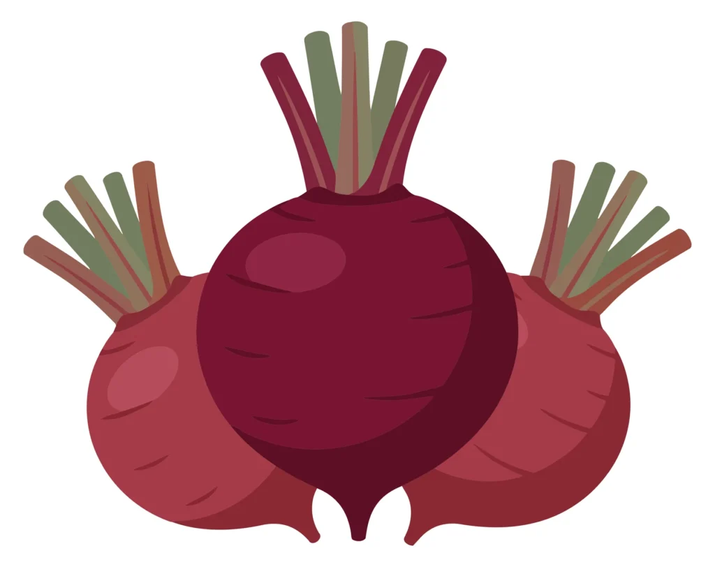 fresh organic beetroots with green leaves isolated on white background