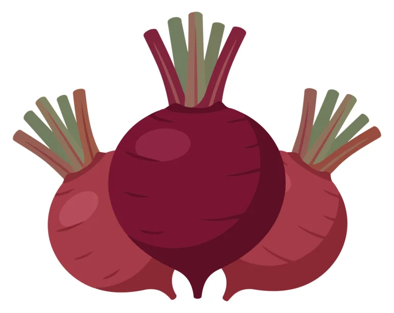 fresh organic beetroots with green leaves isolated on white background