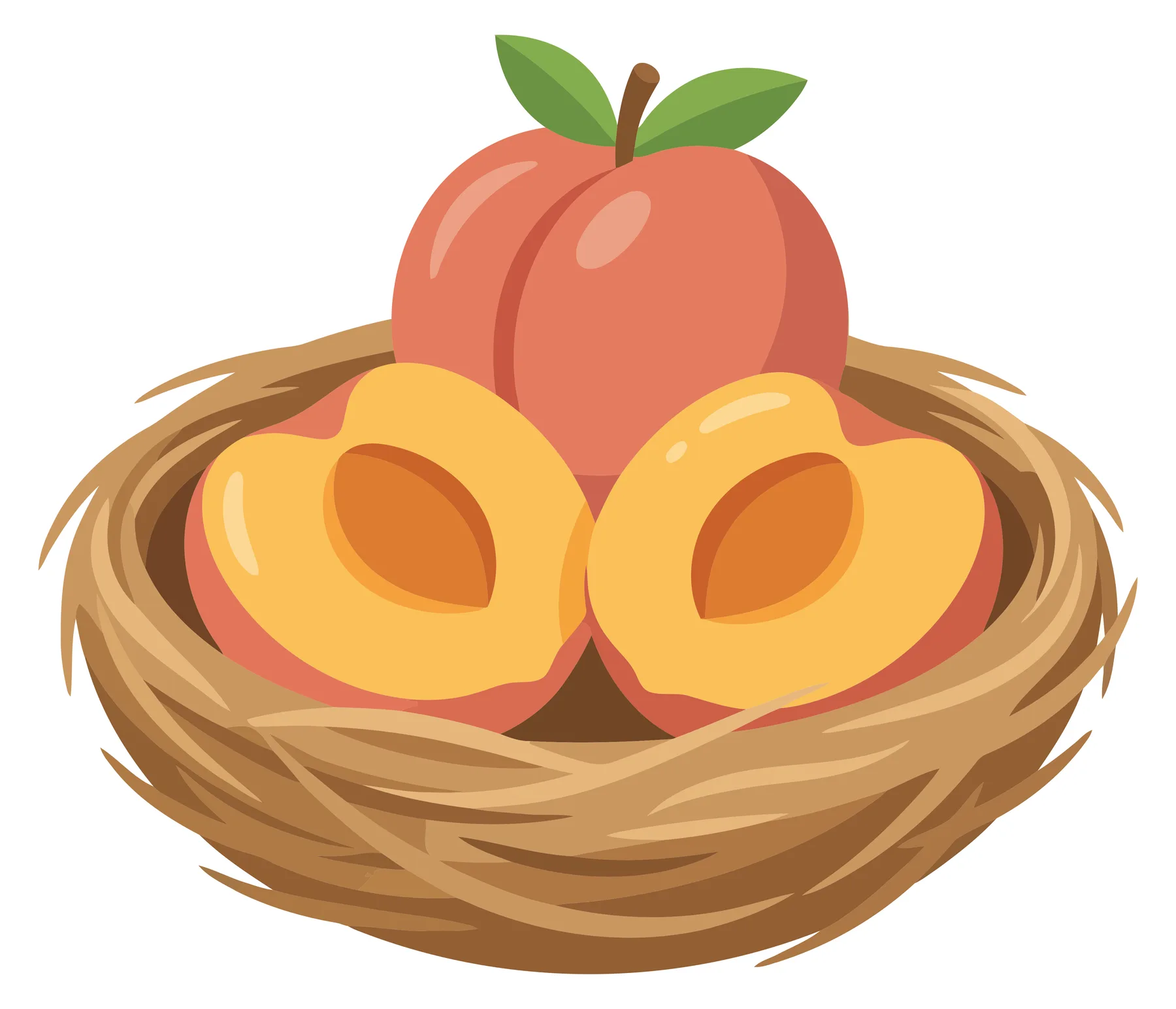Fresh Peaches in a Woven Nest Illustration