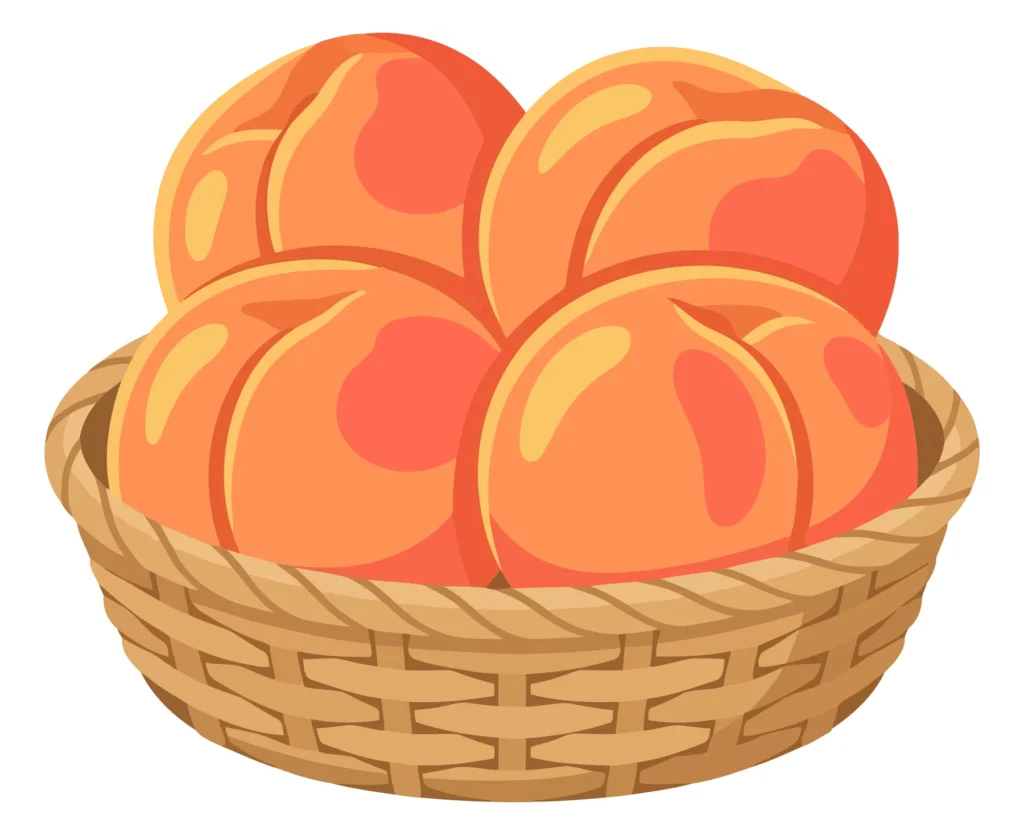 fresh peaches in wicker basket vector illustration
