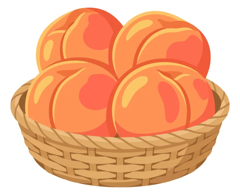fresh peaches in wicker basket vector illustration
