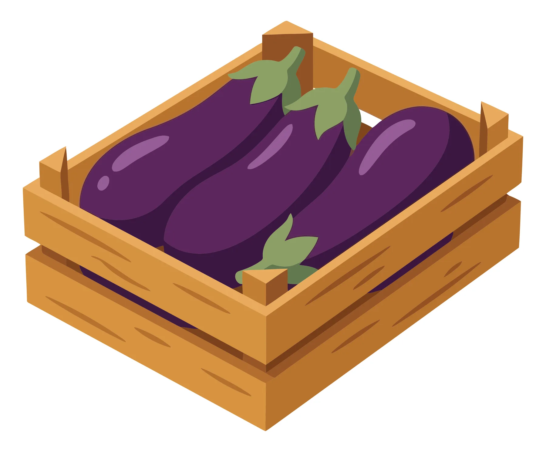 fresh purple eggplants in a wooden crate isolated on white background