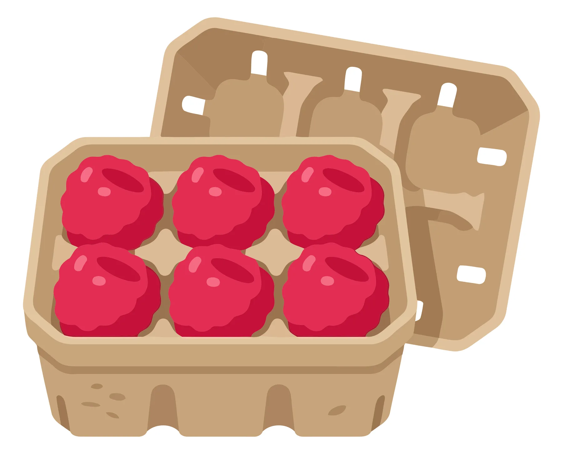 fresh raspberries in a brown cardboard container, vector illustration of organic berries in a punnet, healthy fruit packaging for grocery st