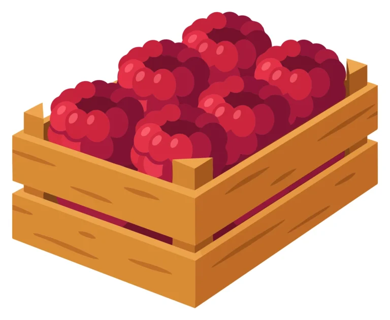 fresh raspberries in a wooden crate, vector illustration of ripe red berries arranged in a rustic box for harvest, market, or healthy food c