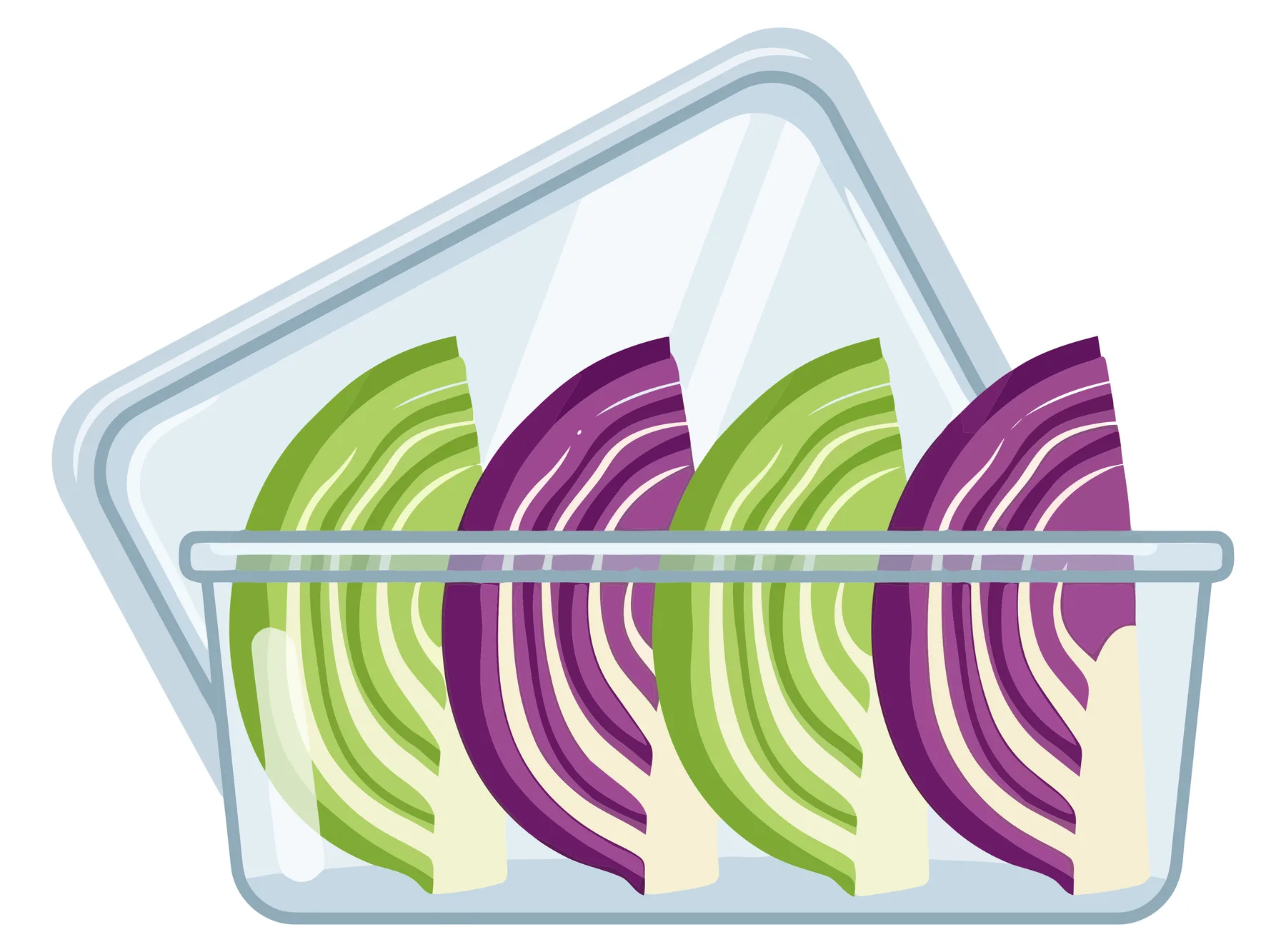 fresh red and green cabbage wedges stored in a clear plastic food container with lid, isolated on white background