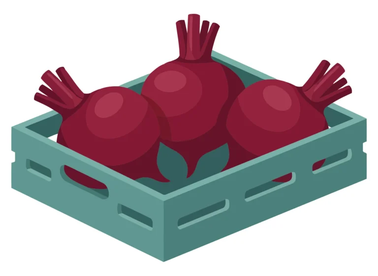 fresh red beetroots in a wooden crate, organic vegetables for healthy eating, harvest concept, vector illustration