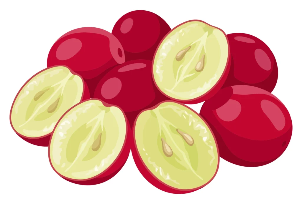 fresh red cranberries