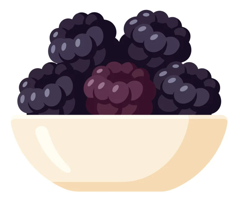 fresh ripe blackberries in a white bowl isolated on white background