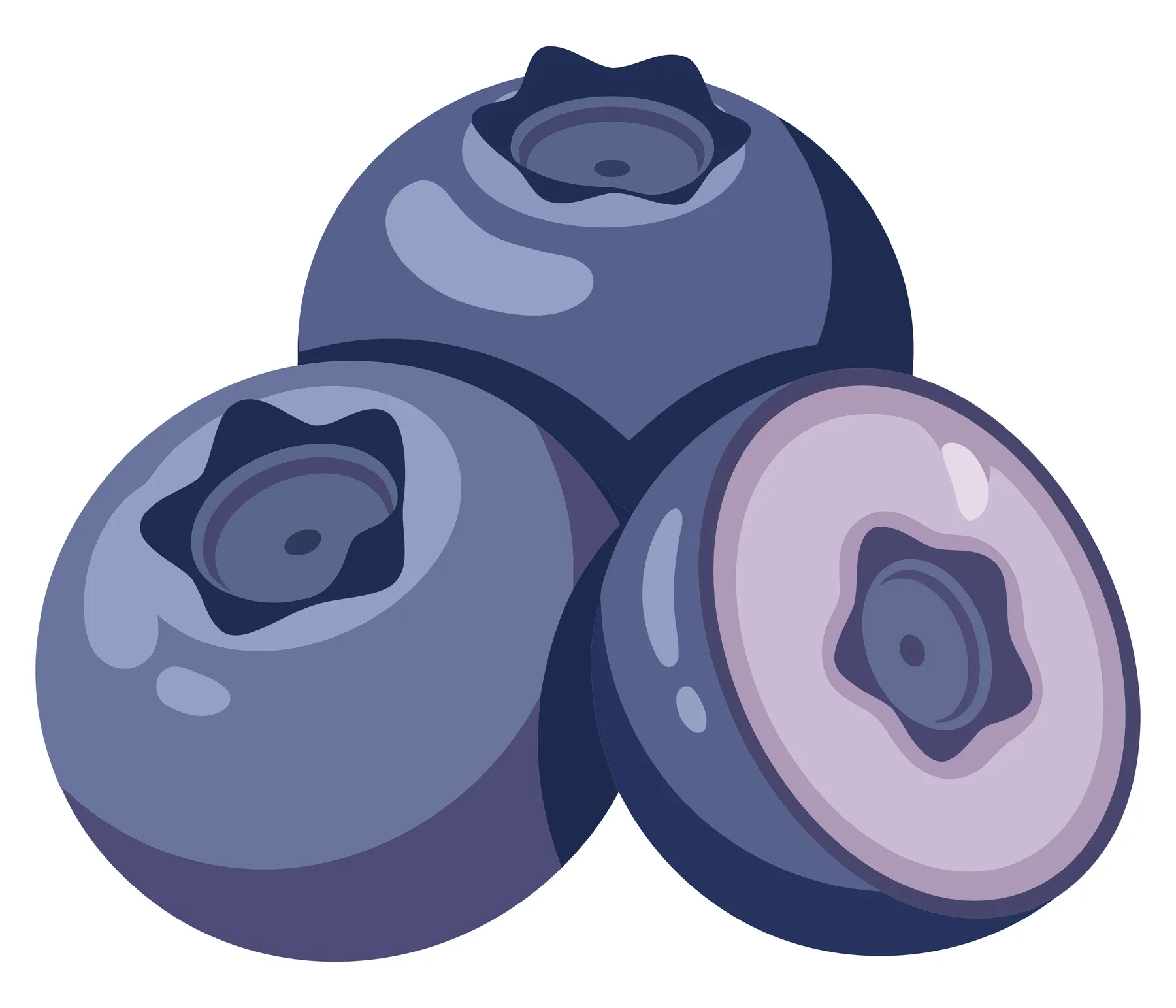 fresh ripe blueberries illustration, group of whole and sliced berries, healthy organic fruit, vibrant blue and purple colors, flat vector g