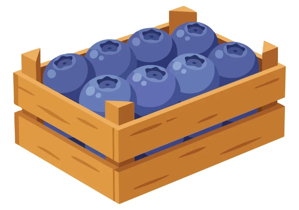fresh ripe blueberries in a small wooden crate isolated on white background