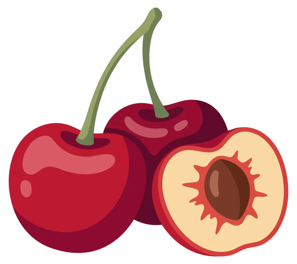 fresh ripe cherries with stems and one cut in half showing the pit, vibrant red fruit illustration isolated on white background