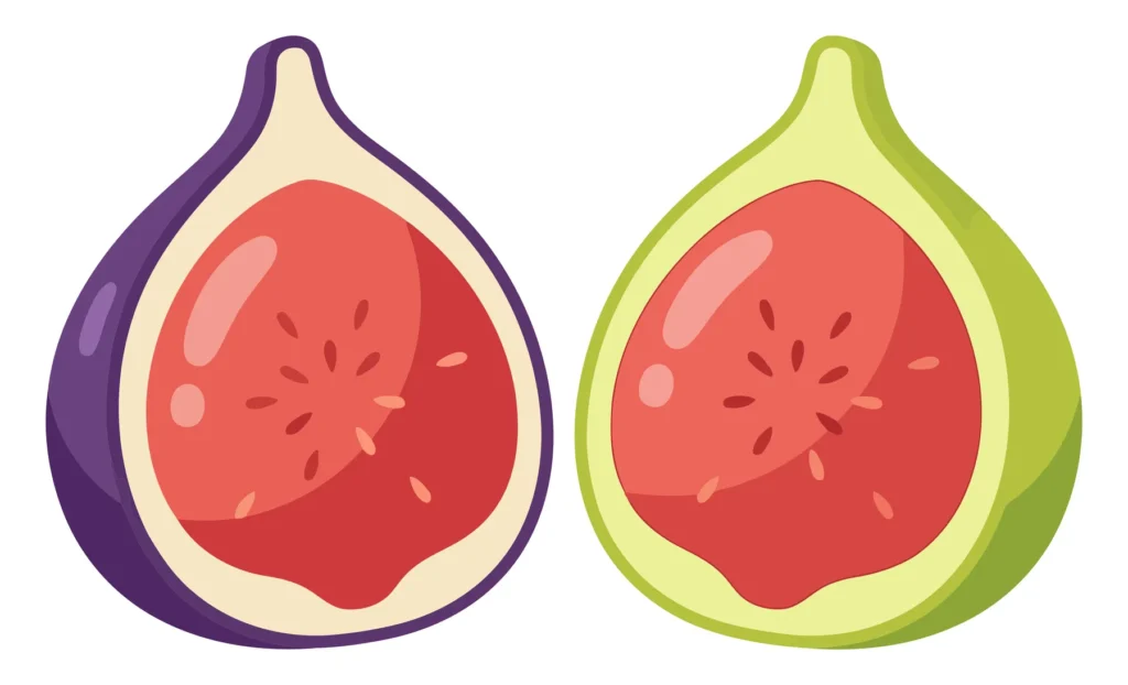 fresh ripe figs cut in half, purple and green fig fruits isolated on white background