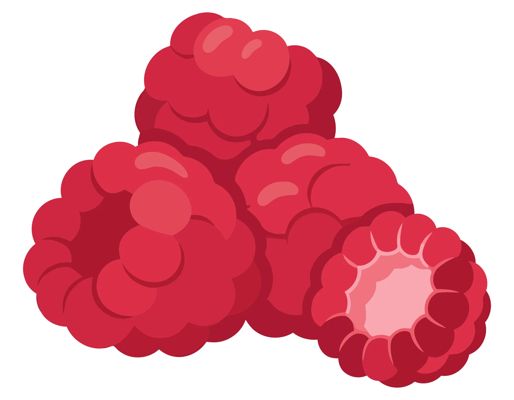 fresh ripe raspberries illustration, delicious juicy summer berries, healthy organic fruit, vibrant red raspberry cluster, detailed vector g