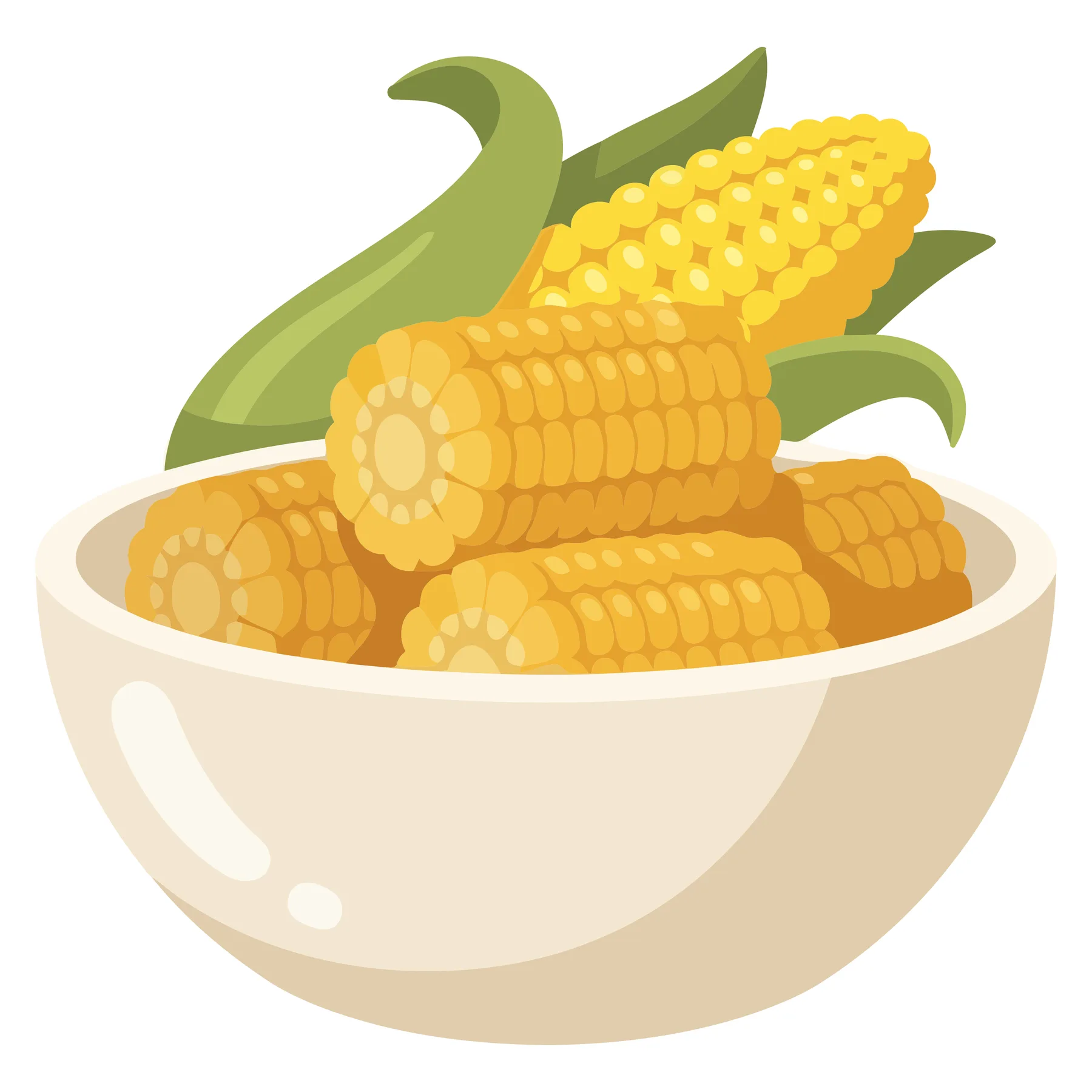 fresh sweet corn cobs in a white bowl with green husks vector illustration