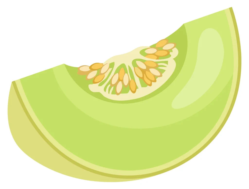 fresh sweet honeydew melon slice with seeds