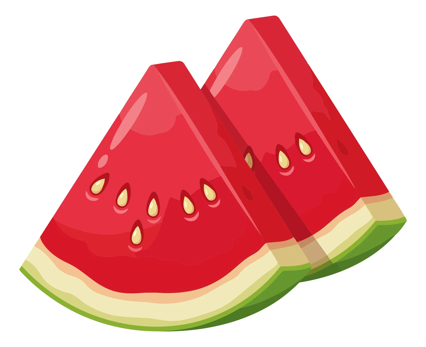Two Fresh Watermelon Slices Vector Illustration