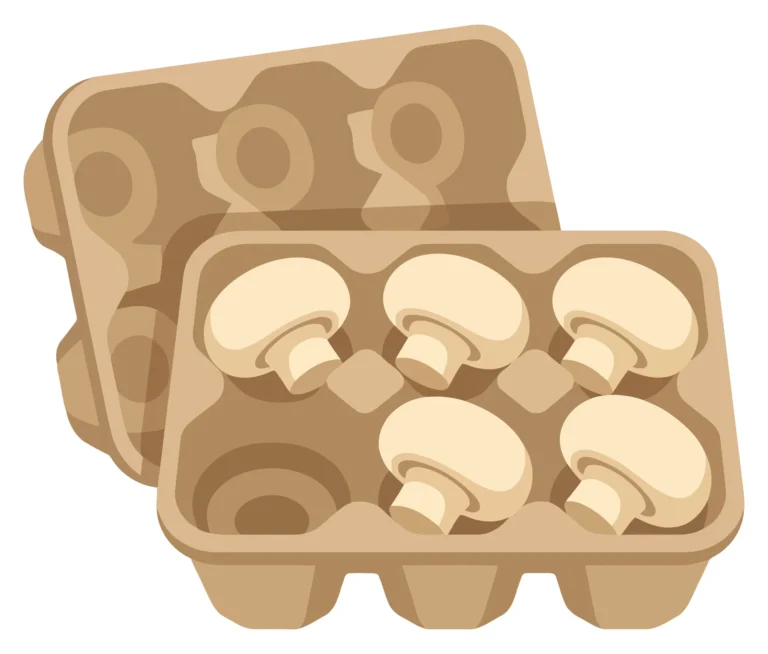 fresh white mushrooms in a cardboard container isolated on a white background